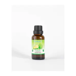 Alcachofa de Natzin | Apoyo en el Bienestar Digestivo